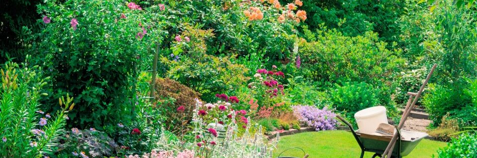 AdobeStock_293947442-960x320